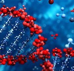  Medical Technology - DNA Sequencing
