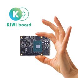 Click for more about KIWI310