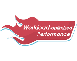 Workload-optimized performance