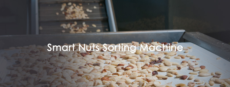 Smart Nuts Sorting Machine